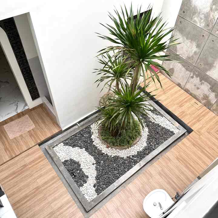 Salah satu area di delasta house yang disulap dengan material yang affordable adalah taman belakang.
Umumnya taman belakang di design oleh satu pohon utama (kebanyakan pohon bonsai) yang kita tau harga satu pohon aja bisa jutaan, terus biasanya ada beberapa tanaman pendamping untuk mempercantik area taman yang harganya sudah ratusan ribu per tanamannya. Belum lagi rumput-rumput atau tanaman yang kecil-kecil, yang harganya murah tapi kebutuhannya banyak sekali jadi jika total-total bisa ratusan ribu juga.
Nah di delasta house, pengganti pohon bonsainya adalah pohon pandan bali. Pohon ini free alias tidak ada biaya, karena kebetulan di depan rumah kami terdapat pohon pandan bali yang sudah sangat besar, jadi kita potong sebagian untuk mengisi area taman.
Untuk tanaman pendampingnya kita gunakan tanaman es lilin, dan untuk dekorasinya saya gunakan batu alam puti dan hitam.
Total pembuatan taman belakang ini tidak sampai 1juta loh (Rp 928.000).
Gimana menurut kalian gais? Yuk kita diskusi di kolom komentar 🫰
.
#Taman #TamanSamping #PandanBali #TanamanPandaBali #BatuAlam #MaterialRenovasi #MaterialMurah 

