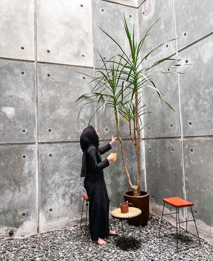 Tamam kering yg berada ujung rumah alfa , referensi dari cafe2 ala2 industrial lalu kita terapin dinrumah sendiiri berasa ngopi ga perlu keluar rumah hehe 
#tamanindoor #tamanindustrial #bangkutaman #kursitaman #tamanalacafe #tamambatusplit #batusplit #tamandalamrumah #tamamkering