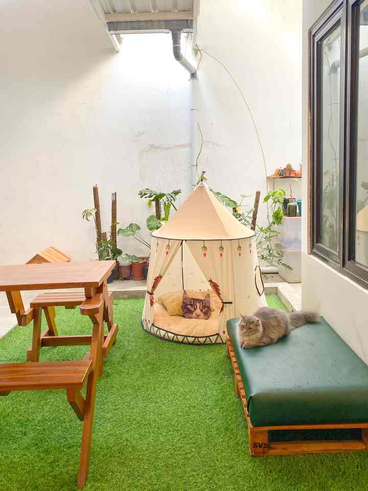 Ini adalah ruangan belakang rumah jahar. Selain fungsinya sebagai sirkulasi udara, juga bisa sebagai tempat bersantai dan bermain si kecil dan kucing. 
#ruangbelakang #ruangsantai #ruangpermainan #rumputsintetis #sofadiy #tendabermainanak #ruangterbuka #mejalipatjati #rumahdengantanaman #rumahdengankucing #rumahdengananak