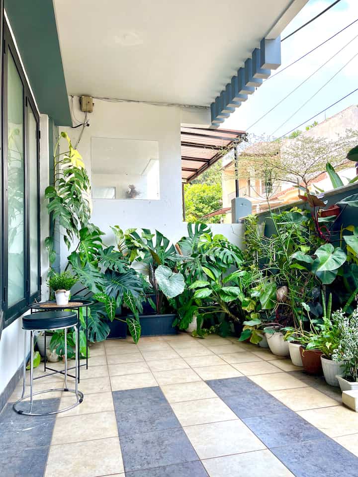 Teras Hijau 🌿🍀🍃

Sengaja kami membuat teras hijau ini karena kualitas udara diperkotaan sudah semakin buruk. Kami memperbanyak tanaman hijau diluar rumah maupun didalam rumah agar rumah kami lebih adem dan udara lebih bersih. 

#scandinavian #topical #terasrumah #depok #perumahan #rumahsecond #areahijaurumah #livewithkids #tanamanhias #plantlover