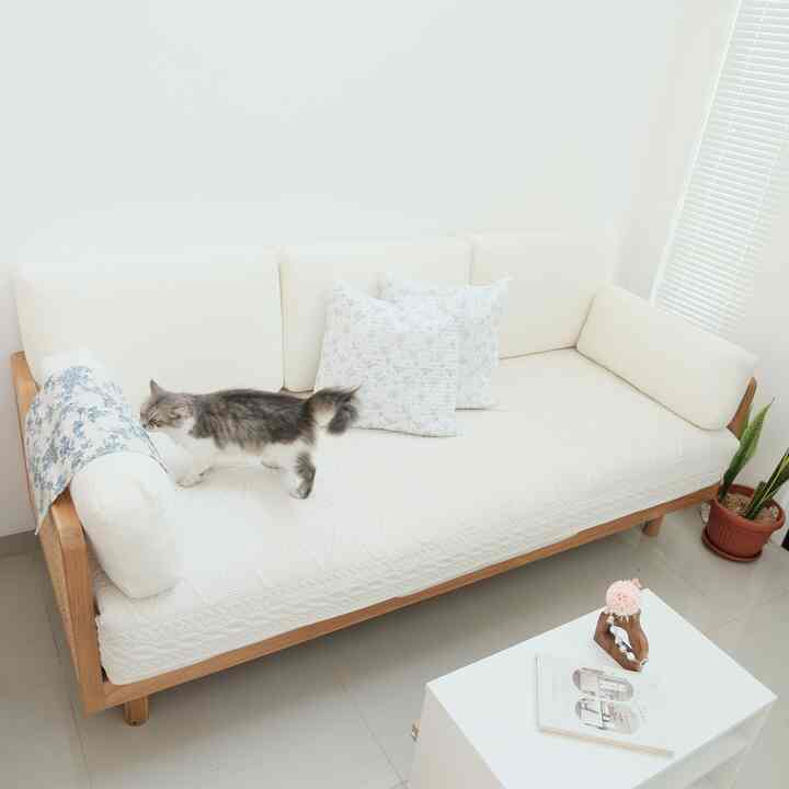 Weekend waktunya bebersih rumah ✨
Hari ini bebersihnya di temenin Dasha di Living room. Oh ya kebetulan sofa di living room ini covernya warna beige sehingga sangat mudah kotor. Tips dari Damaruma untuk sofa dengan warna terang bisa di kasih alas Sofa seperti di foto, jadi sofa terlindungi dari debu dan kotor, apalagi yang punya anabul juga dirumah suka garuk-garuk sofa 😂

#aestheticroom #aesthetichomedecor #homestyling #livingroom #rattansofa