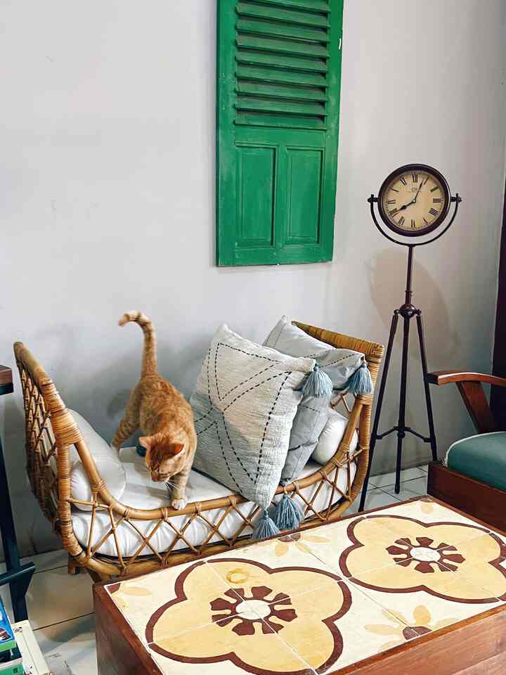 Ruang tamu dengan penambahan sofa bench natural bahan rotab emank bikin suasana santai ala holiday makin berasa ya. Cukup tambahkan bantal dengan motif simple yang terkesan natural, sudah bikin ruangan makin cozy.

#eclectic #natural #tropical #vintage #ruangtamu #rumahmungil #decorlowbudget #rumahminimalis #dekorasiruangtamu #aestheticroom #aestheticdecor #homestyling