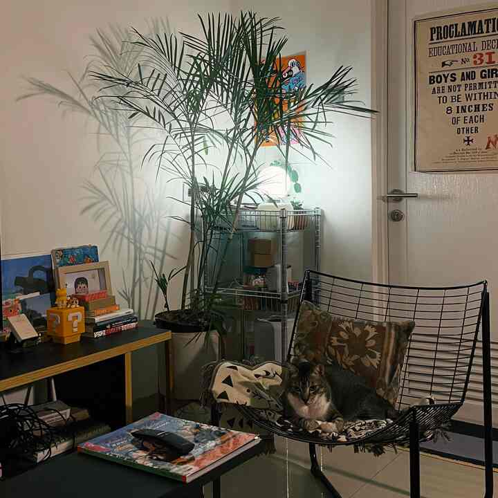 Saya mungkin menyebut ruangan ini sebagai ruang pamer untuk segala sesuatu yang saya sukai dan hargai. Ruang inti untuk mengetahui lebih banyak tentang estetika/suasana saya 😊 #aestheticroom #aesthetichomedecor #homestyling #midcentury #japaneseinspired #cats