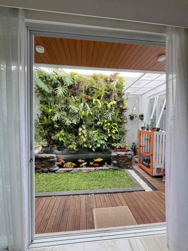 Taman belakang dirumah d_houseds

Hai Ohouse lover, ini taman belakang dirumah d_houseds. Dari awal pembangunan salah satu fokus kami adalah membuat taman belakang impian kami ini. Taman belakang kami memiliki Vertical Jungle dan kolam ikan dibawahnya yang memanjang dan menjadi point vokal untuk rumah kami ini. Area ini terlihat dari balik pintu kaca dan tampak seperti lukisan yang menghiasi rumah. Taman belakang ini dapat terlihat dari ruang tamu, sehingga tamu yang datang dapat menikmati indahnya langsung dari sofa. Selain itu suara gemercik air dari kolam juga sangat menenangkan.

#japandi
#minimalis
#rumahcluster
#backyard
#verticaljungle
#verticalgarden
#kolamikan
#kolamikankoi
#cimahi
#bandung
