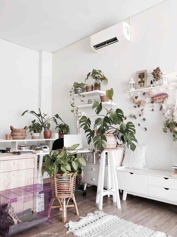 ruang kerja kepepet karena pandemi mengharuskan WFH. kenyamanan adalah koentji. rak belakang, aku desain sendiri dan bikin sama mamang langganan. yang penting mah bersih, karena bisa berantakan juga 😁
menurutku, pojok kerja ini nggak kalah sama coworking space, atau cafe! 😁 

#bohoscandi #decorlowbudget #plantmom #petparent #catlover #aestheticdecor #workingspace
