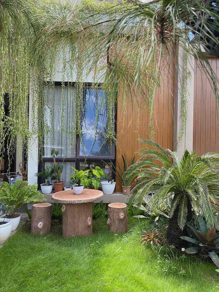 Taman depan rumah ini sering jadi tempat ngopi aku dan suami sambil ber cerita dan juga sambil mengawasi anak anak main di taman.. bahkan kalo suami bosen wfh di dalam rumah sering juga wfh zoom meeting di taman sini kalo pas matahari pagi nya sudah hilang karna memang bagian rumahkuu ini tersorot nya hanya sinar matahari pagi sajaa jadi siang hari malah sudah adem deehh.. 

#landscape #scandinavian #rumahcluster #cimanggisdepok #liviewithkids #rumahmungil 