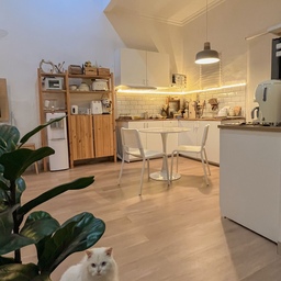 Ada yang baru nih di dapur aku. Yes aku baru aja ganti pendant lamp jadi Bungkeflo IKEA. Gimana ga tertarik? Pas lagi main ke IKEA eh nemu di section AS IS. Ga pake mikir langsung ambil aja. Gimana menurut kalian? ❤️ #kitchen #dapur #ikea #kitcheninspo #inspirasidapur 
