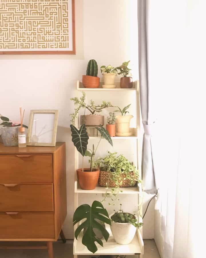 Zen spot at our house 🍃🌞
-
In some parts of the house that are exposed to direct sunlight, especially those close to windows, I always decorate them with plants. Apart from providing a fresher, warmer and more beautiful atmosphere, these plants will usually grow well 🤍 In this corner I usually do yoga or just read a book during my me time. 🧘‍♀️🕯️
-
#KNSLiving
#housedecoration
#homedecoration
#plantdecoration
#aesthetics
#plantslover
#homeandgarden
#tropicalhouse