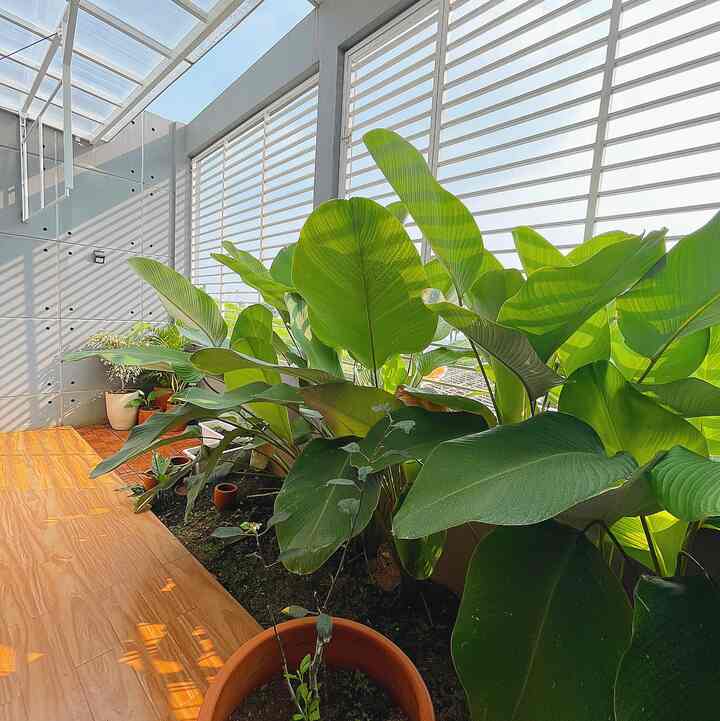 Hello dari area belakang rumah yg sisi bagian ini difungsikan sebagaio laundry area. Bisa terlihat udah ada tiang jemurannya, biar cantik lantainya diberi decking kayu jati serta menambahkan beberapa tanaman dalam pot.
#laundryarea #ruangjemur #outdoorlaundry #backhouse #rumahminimalis #servicearea #laundryareadecor