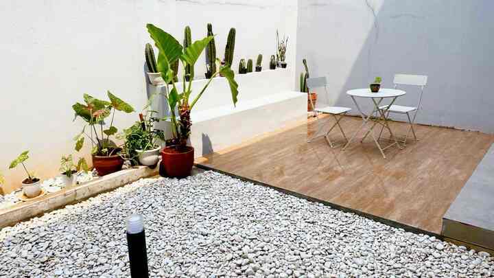 Trowback Taman belakang rumah yang selalu jadi tempat chill papi cing dan kucing-kucingnya 


#tamankering
#taman
#tamanminimalis
#indoorgarden
#tamankaktus
#batuputih
#batucoral
#housecafe
#tamancafe
#chillathome