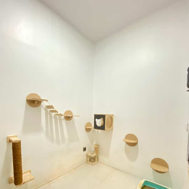 Kali ini aq mau spill kamar yang tadinya untuk ART berubah fungsi jadi kamar Anabul. Berhubung anabul suka manjat2 pohon dan manjat masuk ke dalam rumah,, alhasil aq sulap aj kamar ini jd kamar merek. Di hias dengan main2an mereka biar mereka betah di kamarnya 🥰
#rumahindustrial #catroomidea #kamaranabul #cibubur #petparent