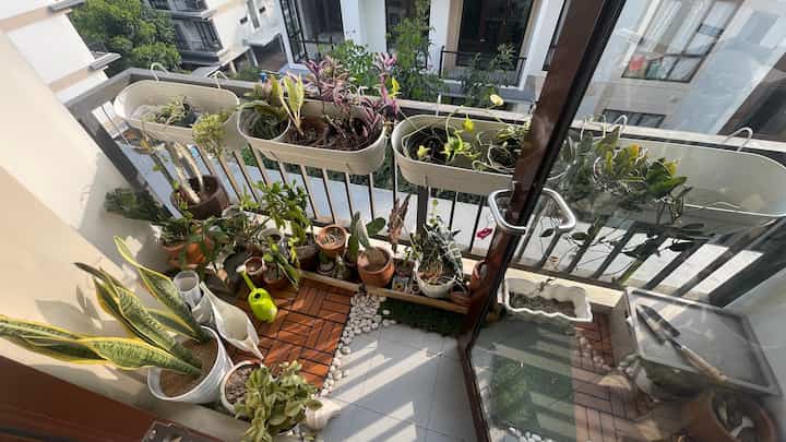 Salah satu ruang hejo di apato.ra, yang bisa dipandangi jika sedang suntuk atau bosan di apato.ra. Pencahayaan sore hari juga bagus sehingga tanaman tumbuh subur.
Penggunaan deck kayu, bebatuan dan rumput membuat suasana balkon menjadi lebih estetik, juga pemilihan beberapa tanaman hias yg membuat asri. 


#balcony #decorbalcony #balconyideas #diy #plants #santaisore