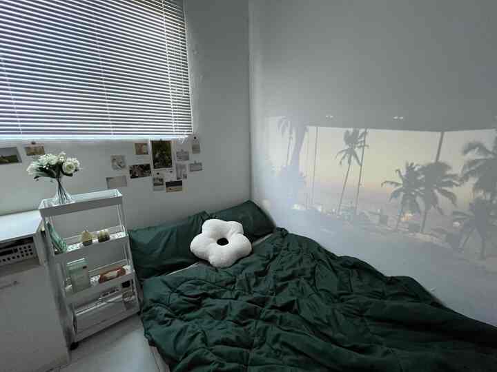 My green bedroom 🛌

Kamar ini hanya berukuran 2,5x3 meter, tetapi aku mencoba untuk mendekorasinya agar tetap nyaman.

Dengan menggunakan furnitur putih serta nuansa hijau dari bedcover, aku bisa mewujudkan kamar impianku!

Oiya, kamar ini satu-satunya di rumahku yang berukuran 30m2🏠 Jadi, harus dibuat secozy mungkin~

#bedroomstyling #bedroominspiration #bedroommakeover #dekorlowbudget #minimalist #30m2 #bedroomdecor