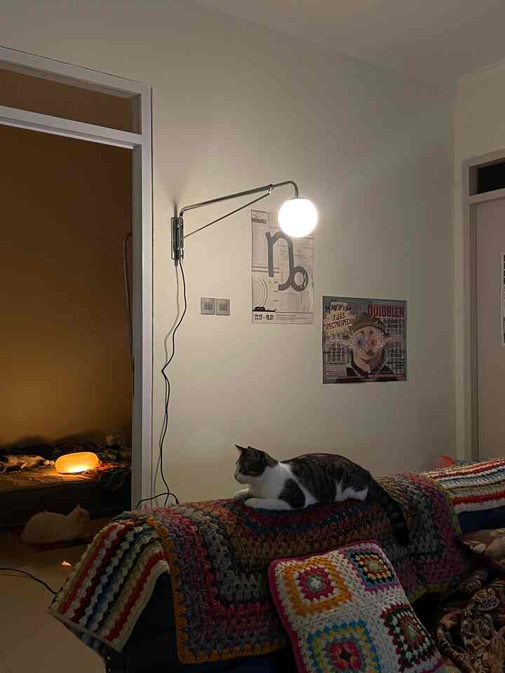 Pencahayaan secara general di Rumah Telur jarang menggunakan Task Lighting, lebih sering ambience seperti penggunaan lampu meja dan lampu dinding. Pencahayaan ini membantu meningkatkan kenyamanan di rumah. Maka dari itu dalam satu tempat terdapat banyak lampu tidak hanya satu yang beberapa menggunakan smart lamp juga agar intensitas cahayanya bs diatur.
#NightVibes
#LightingIdeas
#LightingInspiration
#LivingAloneSeries
#RumahKontrak
#RumahKucing