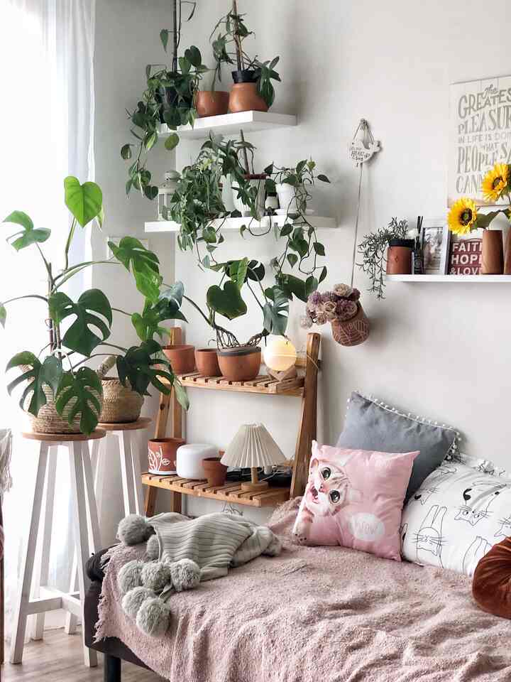 my office area and whatever you wanna do area😄 bebas! ada slipper favorit yang empuk super comfy, aku punya throw cantik yang suasana langsung berbedaa, bantal kucing murah bangettt, plus reed diffuser yang aromanya seger banger, si Rayu yang bikin aku mager 😄

#bendafavorit #recommendedfurniture #recommendedDecorItems #bohoscandi #decorlowbudget #plantmom #catlover #rumahtanpaarsitek