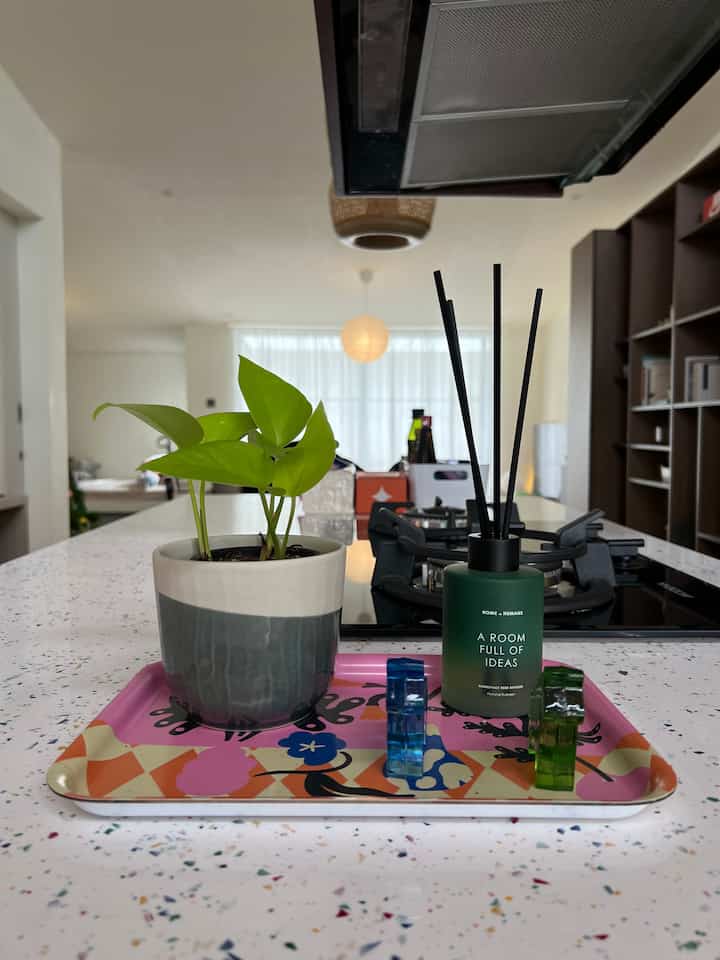 Tips agar rumah makin berasa nyaman: tambahkan beberapa tanaman dengan berbagai jenis dan ukuran. Untuk tempat meletakkan tanaman juga bisa disesuaikan asalkan masih mendapatkan cahaya dan udara. Tidak hanya nyaman, ruangan dengan tanaman juga akan lebih hidup dengan warna hijau dari tanaman. #PlantIdeas #PlantsAtHome #RoomDecor #LivingAlone #RefreshingRoom