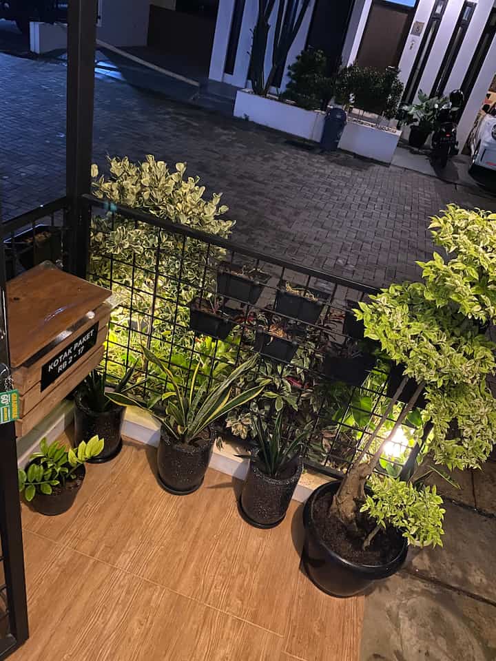 Teras mini di depan rumah yg dipenuhi anak hijau. Walaupun lahan kami terbatas, kami mengusahakan sekali untuk ada taman mini di depan rumah biar rumah tetap asri 🩷

#homedecorindonesia #tamankecil #minigarden #rumahminimalis #rumahdeveloper #terasrumah