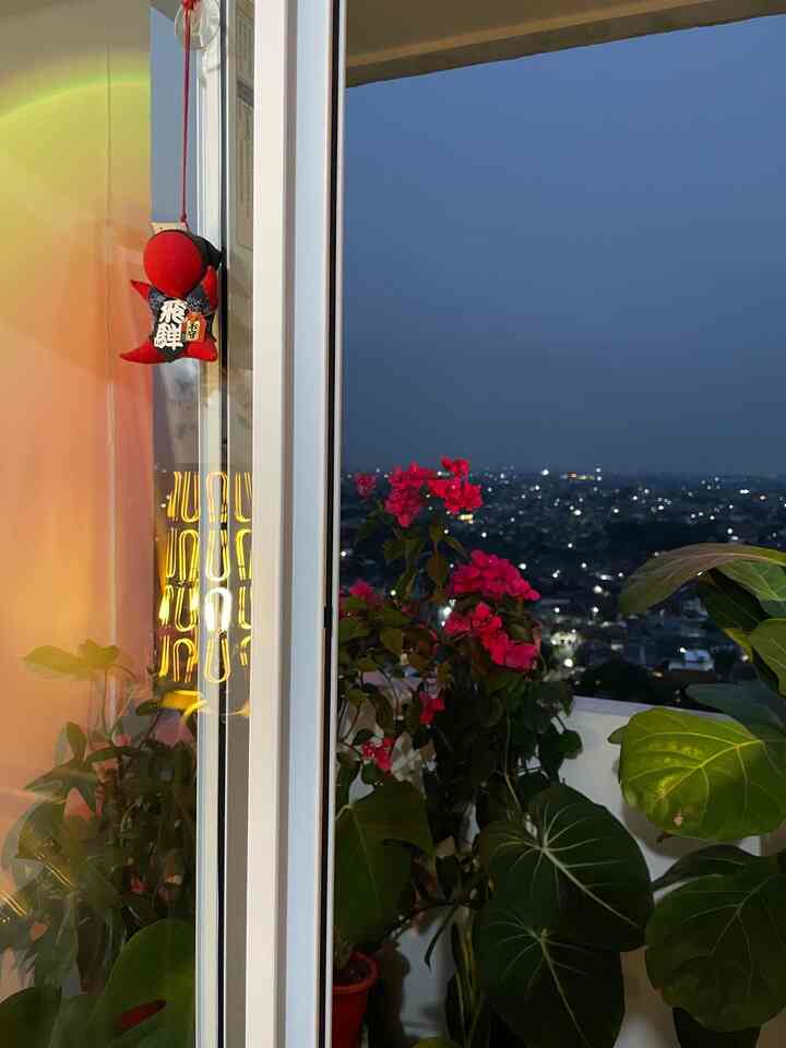 Mini spot tanaman di apartemen, ada di balkon mini dan ruang tamu.

walaupun ruangan terbatas dan tidak punya lahan untuk bercocok tanam, bisa disiasati dengan pot dan tanaman berbunga, lampu spot jg mempengaruhi ambiece ketika di malam hari. 
#minigarden
#gardenidea
#balkonapartemen
#apartmentdecor
#selasarapt