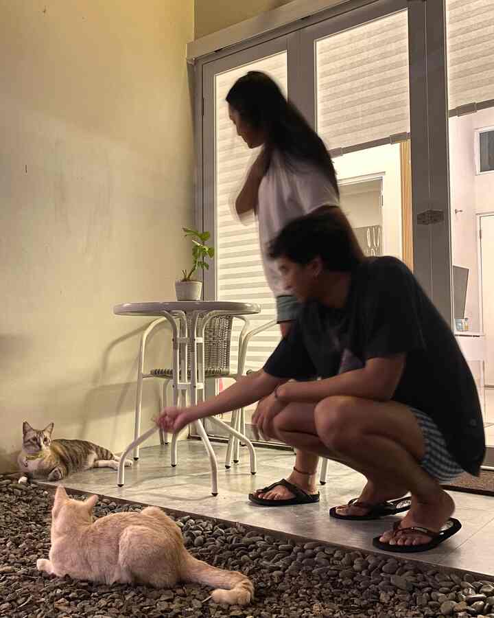 Moment favorite kita nongkrong di teras belakang sama anabul saat malam hari, sambil liatin tanaman & dengerin air sungai😆. Malam-malam selalu ada suara jangkrik dan air sungai deras, jadi sendu tenang, cocok untuk santai-santai melepas penat seharian☺️

#FavoriteMoment #FavoriteRooms #FavoriteDecorItems #rumahmungil #rumahdeveloper #petparent #50m2 #90sqm #backyardinspo