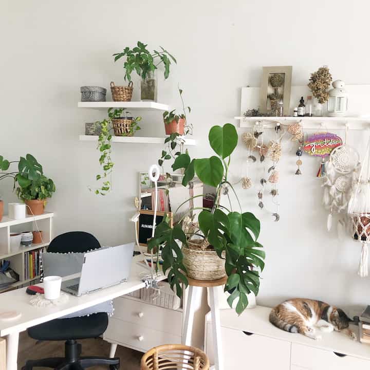 sesungguhnya waktuku banyak dihabiskan disini. meja kerja, geser dikit langsung sofa😄 bahaya sih bisa niatan stretch eh bablas😀. Aku masukin tanaman biar mata adem, eh ternyata anabuls pun demennya nongkrong disini 😄

#homeoffice #workingspace #bohoscandi #plantmom #catlover #decorlowbudget #homedecor 