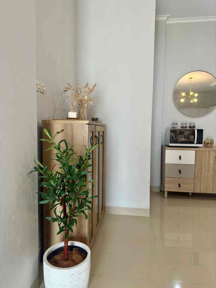 Bright white-walled minimalist corner featuring a natural wood shoe cabinet and an artificial plant as accent
