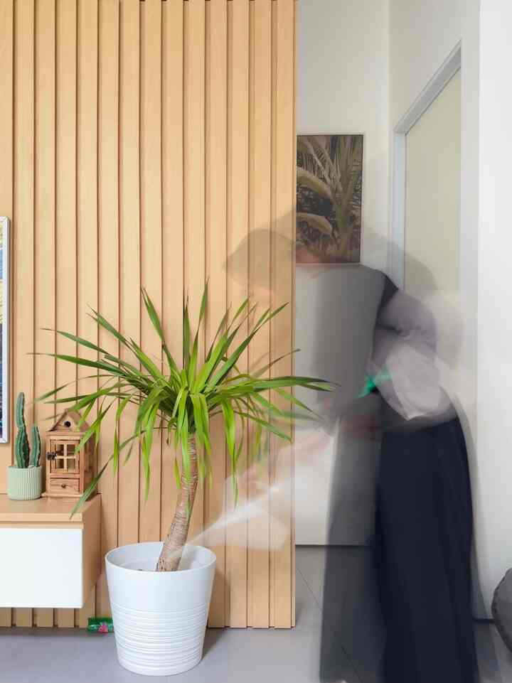 Hal yang selalu menjadi favoritku adalah ketika mengurusi tanaman yang ada di dalam rumah. Menyiram, memberi pupuk, prunning, repoting, dll. Senang rasanya jika mereka tumbuh dengan baik. 

Selain itu, aku juga suka membaca buku tentang tanaman yang selain menambah ilmu, inspirasi, juga tentu saja buku bisa menjadi elemen dekor yang menarik and a good conversation starter 😍

#FavoriteMoment #FavoriteRooms #FavoriteDecorItems #LivingRoomInspiration #LivingRoomDecor 