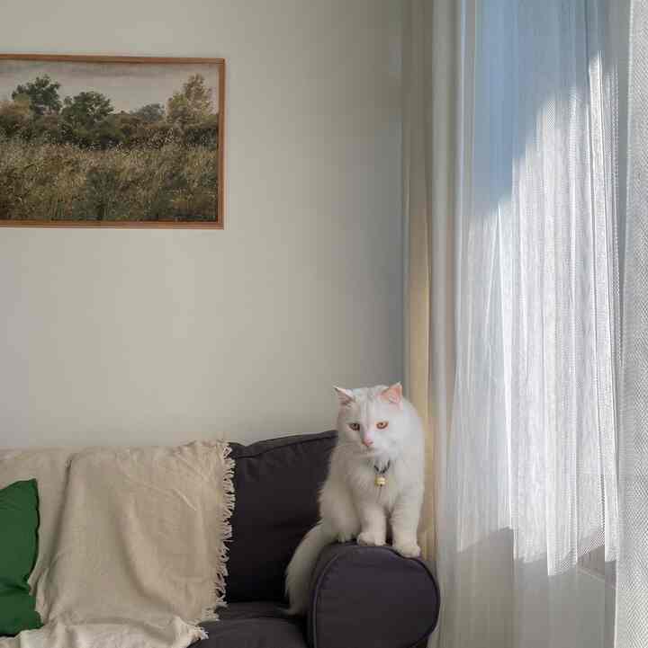 ミニマルなリビングルーム✨

＃リビングルーム
#ルアンガンテレビ
#リビングルームデコラシ
#リビングルームのアイデア
#リビングルームデザイン