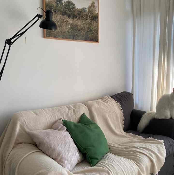 Cozy living room with gray sofa draped in beige throw, white curtains, and large nature landscape wall art accented by black floor lamp