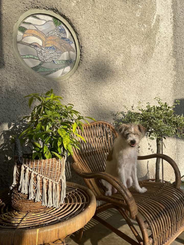 Terasnya si wowi #rumahwowi #terasnatural #tropicalhome #concretehome #semenexpose