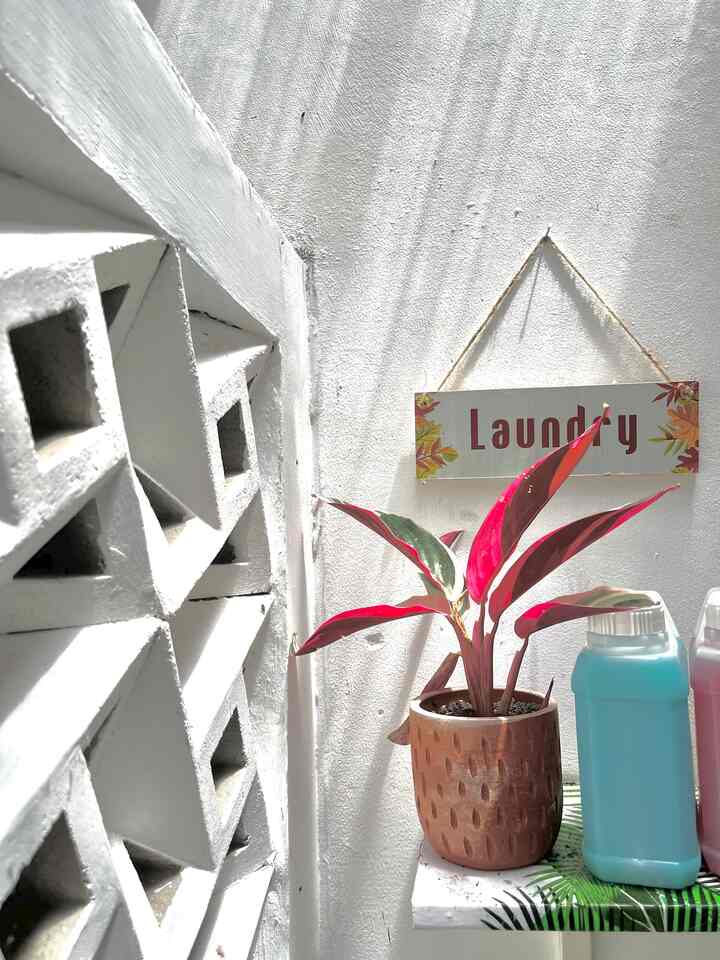 Laundry room adalah salah satu ruangan dirumah yang mempunyai cahaya melimpah. Karena kami sengaja membuat skylight untuk ruangan ini agar terang dan penuh cahaya alami.😍


#PencahayaanAlami
#BrightHouse
#NaturalLighting
#Laundryroom
#InspirasiLaundryroom