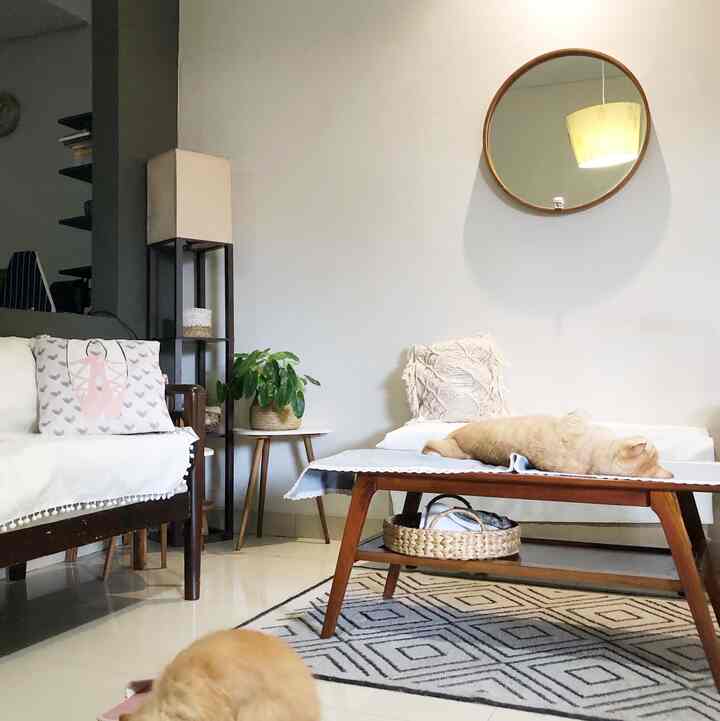 kali ini keliling keliling kecil, untuk liat color palette rumah kami ya. Awalnya, rumah kami ini warnanya sage 🤭. Lambat laun, bertransisi ke warna yang lebih terang supaya mendapatkan kesan luas.

Ruang tamu, ruang keluarga dan ruang kerja ya nadanya earth tone: coklat cream. tapi suka nggak tahan kalau lihat warna abu dan dusty 😃 Gakpapa ya, biar gak terlalu monoton juga. 

Gimana? ada yang samaan?


#BringColorsToMyHome #HomeColorPalette #PaletWarnaRumah #RumahBundaOli #decorlowbudget #bohoscandi #homedecorideas