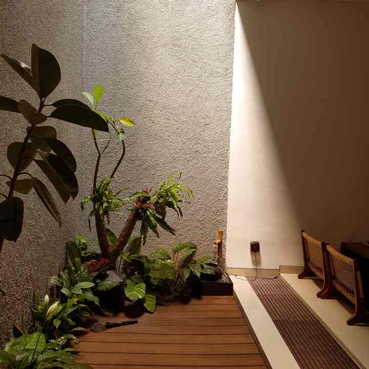 Void untuk penerangan alam

Saat pagi hingga sore, kami tidak pernah menyalakan lampu karena hampir si semua ruangan sudah memiliki ventilasi dan untuk void ini membantu 70% penerangan di lantai 1 dan 2 selain dari jendela

#pencahayaanalami #brighthouse #naturallighting #minigarden #tropicalgarden

