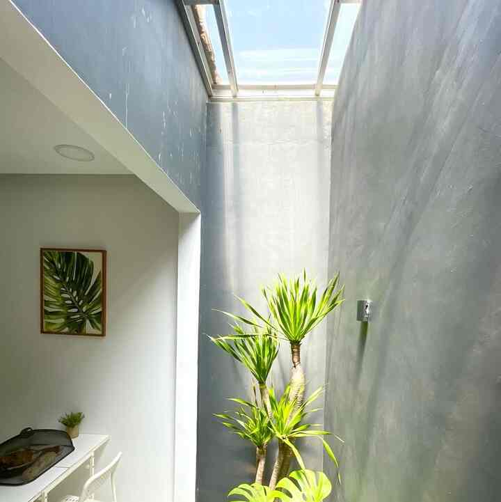 Diruangan inilah cahaya berlimpah masuk kedalam rumah yaitu ruang makan & dapur. Dari awal rencana renovasi rumah kami sudah memutuskan untuk dibuat void agar rumah mendapat pencahayaan alami  dari sinar matahari. Void ini letaknya ada di ujung rumah terpasang full memanjang mengikuti ukuran lebar rumah yaitu 5 meter dengan jarak antara lantai ruang makan dan ujung dinding mentok yaitu hanya  75cm. Untuk menambah kesan estetik ditambahkan 2 macam tanaman hidup agar viewnya bisa kami nikmati saat berad di area ini. 

#pencahayaanalami
#brighthouse
#naturalLighting 
#voidrumah
#rumahminimalis
#dapurminimalis
