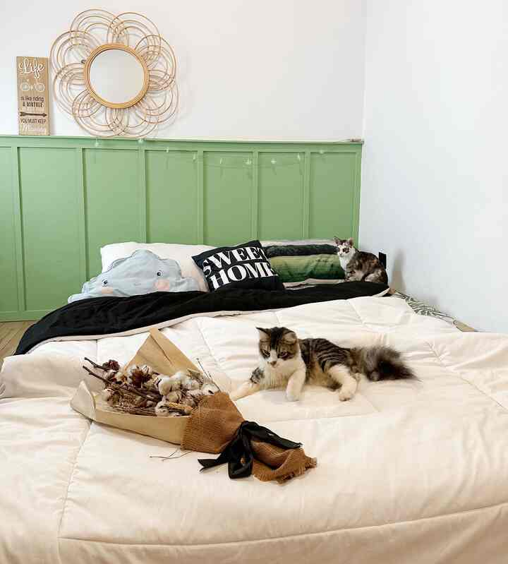 Kamar tidur dengan sentuhan hijau🪴
#BTNOAS6 #bedroominspo