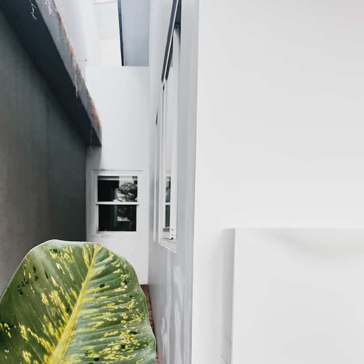Area outdoor kami menggunakan cat dinding exterior warna putih dan abu, warna hijau dari beberapa koleksi tanaman dan kombinasi decking wood di area entrance rumah kami. 

Kami sengaja membuat layout dengan bukaan gang sekitar lebar 1 meter untuk sirkulasi udara masuk di setiap kamar. Selain itu agar tembok kami tidak menempel dengan tembok tetangga, gunanya untuk privasi karena area ini berdekatan dengan 3 kamar di rumah. 

#outdoorinspiration #exteriorinspiration #outdoordecor #exteriordecor #simplefasad #minimalis 