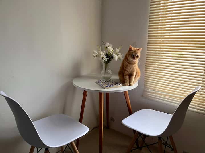Minimalist living & dining 🍽️

Karena rumah ini hanya berukuran 30m2, aku menggunakan 1 ruangan untuk berbagai fungsi. Salah satunya living room yang juga kugunakan sebagai dining area.

Aku mendekorasi seminimalis mungkin agar tidak terkesan sempit dan tetap clean ✨

Furniturnya juga sangat low budget lho! Kursinya hanya 100ribuan dan meja bundarnya hanya 200ribuan ✨

#DecorLowBudget #AestheticRoomDecor #RumahMungil #30m2 #Livingroomstyling #Diningroomstyling #Rumahsubsidi