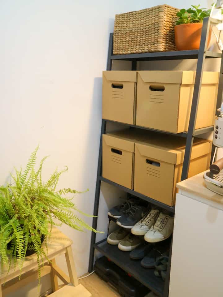 Tanaman kecil, berdampak besar - memberikan vitalitas dan pesona di setiap sudut 🌱💫

#TinyPlants #UrbanOasis #ApartmentDecor #NatureLovers #GreenSpaces