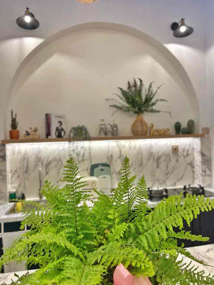 Lightning emang sangat berpengaruh, terutama di kitchen dan island kita ini.
Biar makin terang dan semangat masak😆
#designkitchen #dapurminimalis #dapurvshome
#kitchenisland #dekorasidapur #dapurmodern
#tonekitchen #kitchendecoration #curve 