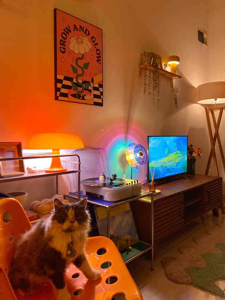 Di rumah kami, lampu jadi item dekorasi yang menambah ke-aesthetic-an sebuah ruang ✨

Misalnya, dalam ruang tamu, kami hobi menaruh sejumlah lampu dengan berbagai jenis pencahayaan dan bentuk 🪔

Untuk jenis pencahayaan, mayoritas memakai warm light agar menambah kesan hangat dan nyaman ketika menikmati suasana di malam hari 💡

Apakah menempatkan berbagai jenis lampu masuk dalam kategori budget-friendly? Balik lagi ke masing-masing ya, karena bagi kami fungsi lampu tak hanya sebatas alat penerangan tapi juga menambah estetika sebuah ruangan ketika malam hari 💫

Banyak jenis lampu dengan berbagai bentuk yang dijual secara online atau offline, dengan harga yang variatif.

#BudgetFriendlyDecor #AestheticAffordable #SpillDecorLowBudget #decorlowbudget #rumahdeveloper #petparent #livingwithpet #depok