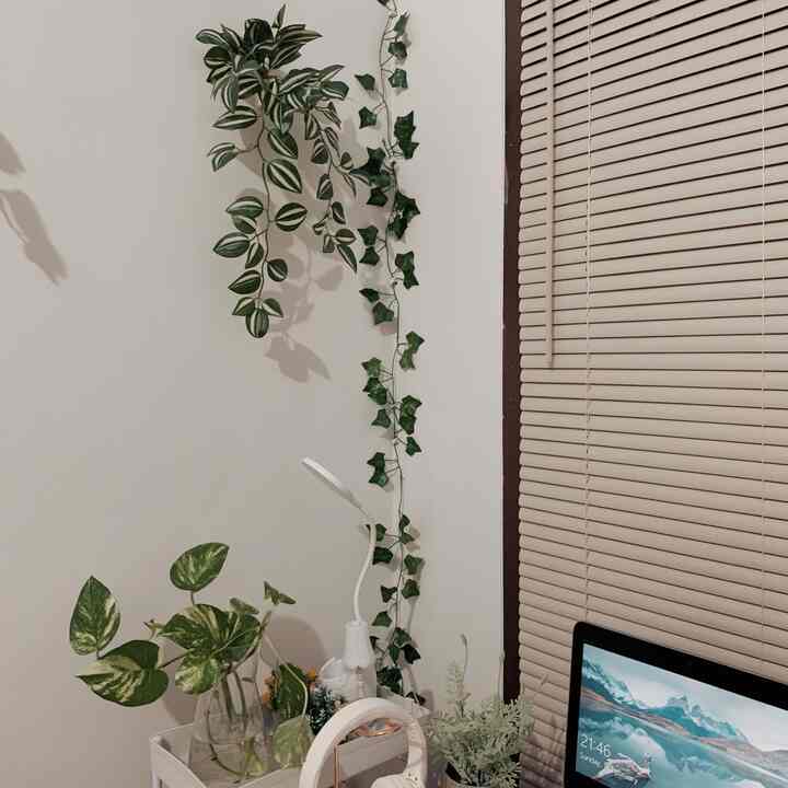 Ini dia versi ku, ketiga item dekorasi yang aku tag dan budget friendly,  lumayan aja bikin ruangan jadi tambah aesthetic juga vintage 🫶🏼

#BudgetFriendlyDecor #AestheticAffordable #SpillDecorLowBudget #minimalist #roomjournal 