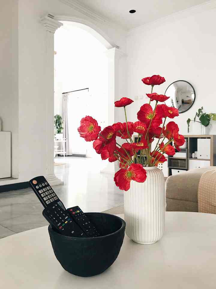 Besides choosing decoration from a visual perspective, its function must also be considered. Don't just do it because it's a trend but end up not blending in with the rest of your home decor. Now there are lots of affordable home decoration items on e-commerce, we just have to adjust them to our needs and budget.

#BudgetFriendlyDecor #AestheticAffordable
#SpillDecorLowBudget #midcenturymodern #tablelamps #redtheory #indoorplants

