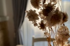 petiteroomvibes님의 프로필 이미지