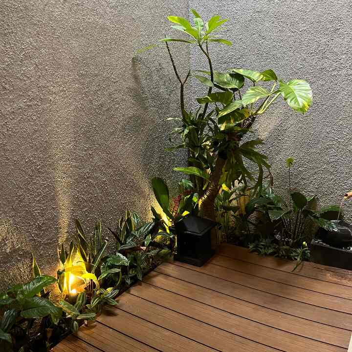 Taman indoor semi outdoor?

Untuk area taman kami sengaja tidak full kan untuk tanaman supaya dapat difungsikan untuk komunal

#tamanindoor #tamantropis #rumahvilla #rumahcluster #backyard #minimalis #depok #dekortaman #rumahbali