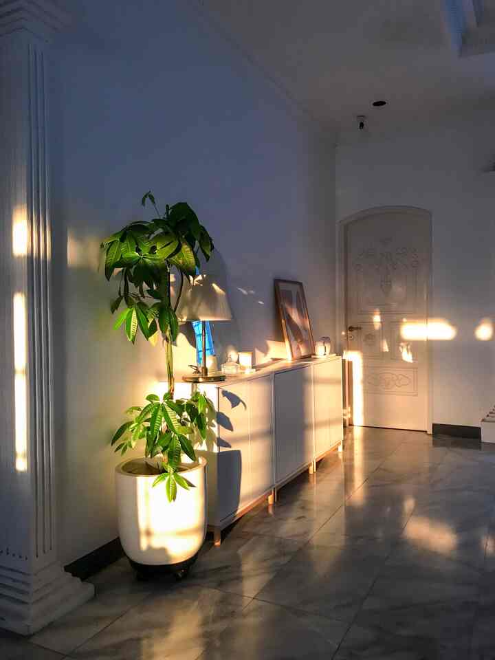 Berawal dari ketertarikan dengan interior rumah di negara-negara scandinavian, semua mempengaruhi design interior untuk rumahku sendiri. Setelah pindah ke rumah sekarang sekitar 6 tahun lalu, seleraku bergeser ke arah mid-century modern, mid-century japanese dan danish design.

#midcenturymodern #scandinavian #danishhome #midcenturyjapanese #homedecorinspo #roomdecorinspo #rumahestetik #homestyling

