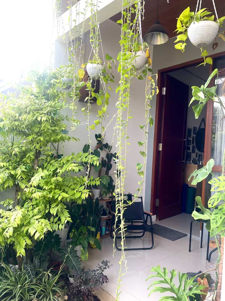 Inilah inti dari pintu utama @diemdibumi. Barang-barang camping yang kami gunakan untuk bekerja di sini, seperti kursi lipat dan juga rak lipat yang digunakan sebagai pekebun🤭 #entrance #terasrumah #tamanrumah #homedecor #homeinspiration {5 #tamanrumah } #homedecorinspo #taman #tanaman