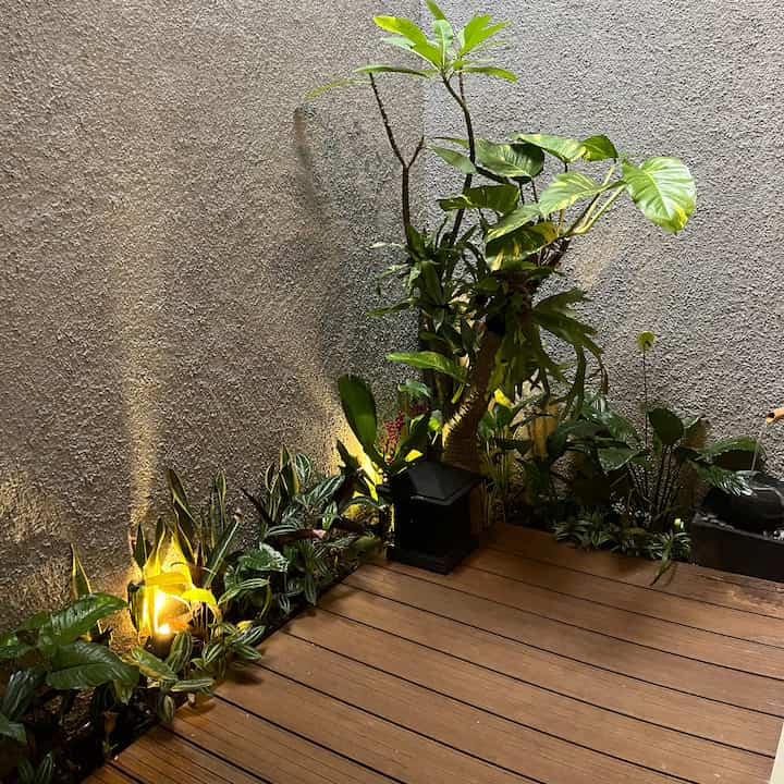 Taman di dalam rumah

Taman di dalam rumah dapat membuat udara menjadi lebih segar dan membuat penghuninya merasa nyaman dan betah berada di dalamnya

#tamandalamrumah #tamanindoor #minigarden #homeinspo #tamanminimalis #tamanestetik #tamansemiindoor