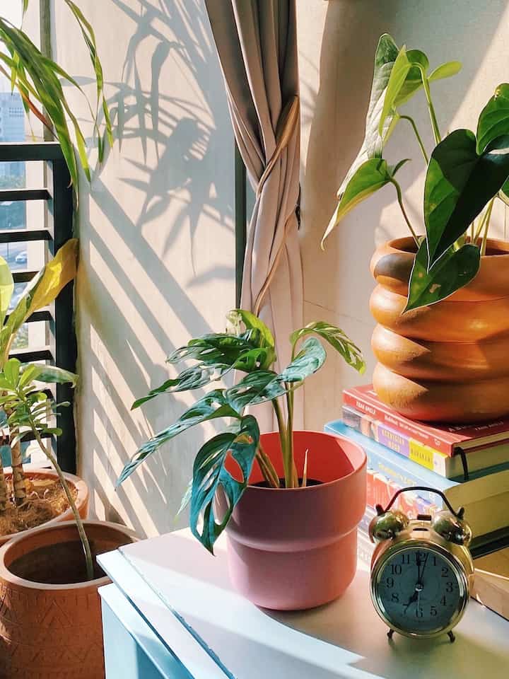 Sinar pagi, bantal nyaman, dan kopi dengan viennoiseries…kenikmatan sederhana ✨

#PojokBoho #TinyHome #Apartment #InspirasiDekor #Boho #Bohemian #Plants