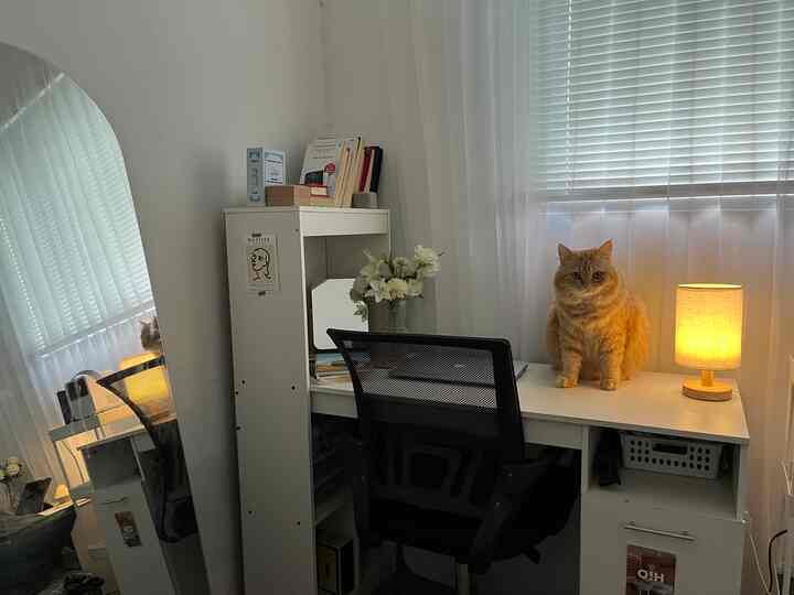 Home office at night 🌙✨

Seperti biasa, aku pakai lampu warm agar lebih cozy. 

Di 2 slide awal, ini sore menjelang maghrib. Kalau 2 slide terakhir, udah gelap banget.

Tapi karena ada lampu tidur, home office yang juga kamar jadi kelihatan nyaman kan?

#homeofficestyling #minimalist #mejabelajar #Dekorasiruangbelajar #Dekorasisatukamar #decorlowbudget