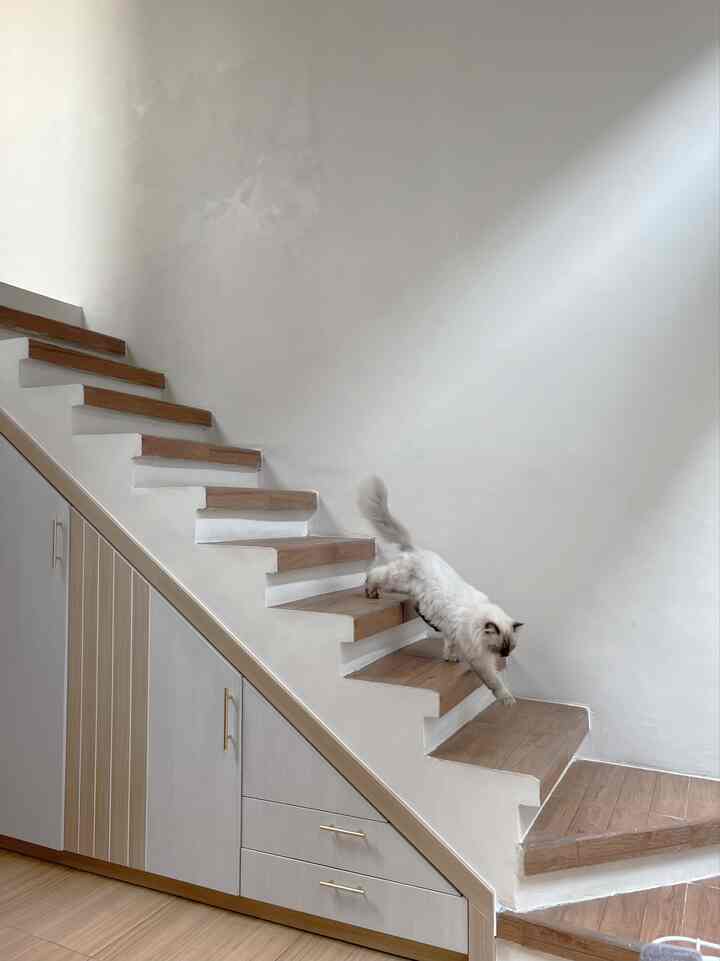 Rumah tanpa gudang

Aku dan suami memutuskan untuk tidak memiliki gudang dirumah kami, karena kami gak suka menyimpan barang terlalu banyak. 
Hanya ruang bawah tangga ini yang kita manfaatkan untuk menyimpan alat, peralatan, atau barang-barang yang jarang digunakan.

#rumahtanpagudang #tangga #gudang #japandi #minimalis #rumahdeveloper #petparent