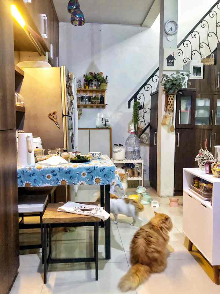 welcome to our warm little dining room! In one area with the kitchen, it is challenging to choose the size of the table, even to set the table. But psst, yesterday I hunted for cute linens for DIY tablecloths, to make the room more cheerful. Change the atmosphere, welcome Ramadan.

Eh, even the Anabuls are orderly waiting for the call to prayer! 😂

#DiningRoomStyling #DiningRoomStyling
#DiningRoomInspiration #cozydiningroom #decorlowbudget #homesweethe #catlover